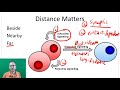 AP Bio: Cell Communication - Part 1