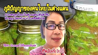 ภูมิปัญญาคนไทยในฟินแลนด์ ทำสมุนไพรจากยอดคริสต์มาส ชีวิตเมียฝรั่ง Ep342