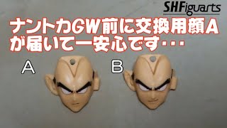 0630 孫悟飯の今日PON S.H.Figuarts ラディッツの動画を作ろうとしたら てんてんてん その3-END