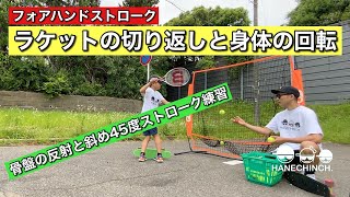 フォアハンドストローク　ラケットの切り返しと身体の回転（骨盤の反射と斜め45度ストローク）　テニスはねちんチャンネルvol.34part2