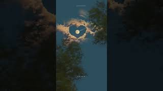 Beautiful Moon💓||Good Night Status||Nature Whatsapp Status Video ||#moonlight#shorts #nature #viral