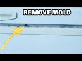 REMOVE MOLD FROM FRIDE OR FREEZER SEAL EASY | TEACH ME HOW TO CLEAN