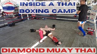 Inside a MUAY THAI training camp - Getting my a$$ whooped daily in a boxing camp in Thailand - DMT