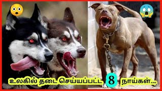 உலகில் தடை செய்யப்பட்ட 8 நாய்கள் | 8 Banned Dogs in the world 😀