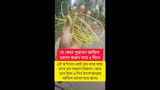 #উদ্ভিদ_ও_অন্যান্য #স্বর্নলতা #nature #agriculture #plants #farming #garden #gardening #sornolota