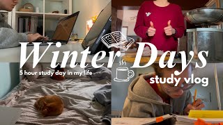 winter study vlog ☃️ a productive 5 hours study day in my life studying for exams