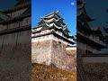 japan’s first national treasure castle 名古屋城 愛知県 nagoyacastle shorts