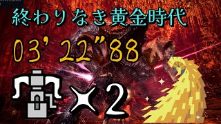 MHW:IB 終わりなき黄金時代　貫通ヘビィ　ペア　03'22\