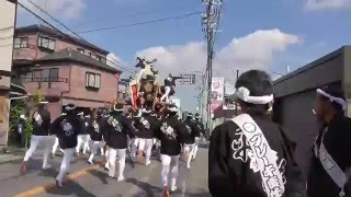 2015堺市久世だんじり祭り　平井、宵宮・東山交差点やりまわし（平成27年10月3日）