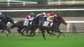 3歳以上1勝クラス 現地レース動画 イズンシーラブリー ウインシャーロット バラジ レーヴドゥラプレリ ヴィアルークス エンジェルサークル 2021/10/31 東京競馬場 6R