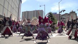 一宮七夕祭り２０１５　鳴子踊りイベント　【常盤】②　阿国