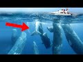 BIGGEST Mysteries Science STILL Can't Explain!