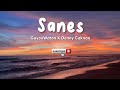 Sanes - GuyonWaton X Denny Caknan (Lirik) Terbaru Tanpa iklan