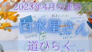 【占い】2023年4月の一白水星さんの運勢は？【道ひらく】