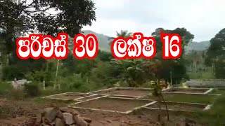 පර්චස් 30 ලක්ෂ 16 අත්තිවාරම් දමා ඇත|aduwata idam|kalu malli|sri lankan land