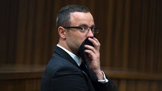 Pistorius Defence Calls For Mental Health Exam - Day 31