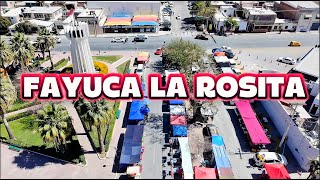 FAYUCA LA ROSITA EN TORREON COAHUILA