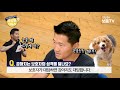 eng sub 강아지는 보호자의 성격을 닮나요 ｜강형욱의 소소한 q u0026a