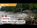 More marine plants can save Batu Ferringhi beach, says expert