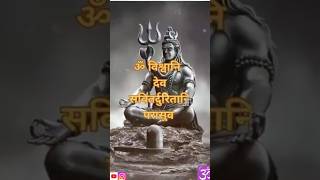 ॐ विश्वानि  देव सवितर्दुरितानि परासुव यद् भद्रं तन्न आ सुव#shorts#shortsfeed #mahadev#mantra #vishnu