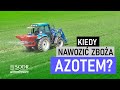 Kiedy nawozić zboża azotem?