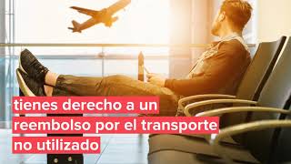 ¿Qué hacer si una aerolínea estadounidense cancela tu vuelo?