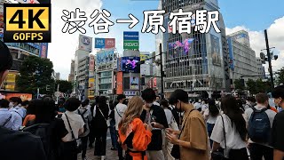 4K JAPAN - Shibuya \u0026 Harajuku Station / 渋谷駅～原宿駅 #036