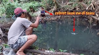 Di kira cuma genangan air ternyata lihat apa yang terjadi!Mancing wader di sungai dangkal dan jernih