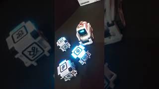 Cozmo in India - how to be a typical Indian Parent to Cozmo