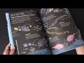 the big book of the blue by yuval zommer book flip