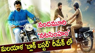 నందమూరి ‘నటసింహం’ మలయాళం బ్లాక్ బస్టర్ రీమేక్ లో..!Nandamuri Balakrishna |Tollywood Ticket