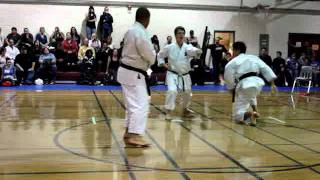 Unsu Bunkai - 2011 IKD Canada Cup