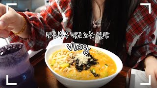 ENG)우연vlog 신혼부부브이로그🍽연어회 연어초밥  만들어먹고🍣 장칼국수, 쭈꾸미세트 만들어먹는 일상