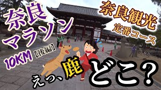 【元帰宅部、ガチラン#16】奈良マラソン 10kmの部 2019 【後編：春日大社～奈良公園～東大寺～ゴール】奈良観光