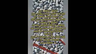 ତୁମେ କେବେ ଭାବିଛ ତୁମେ ଯେତେବେଳେ ଅଭାବରେ ଥିଲ #fashion #trending #family #youtube #fact #freefire