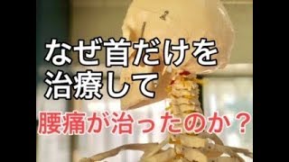 なぜ首だけを治療して腰痛が治ったのか？