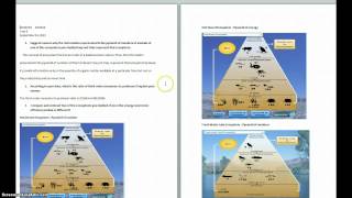 Student Examples of Reports following Virtual Labs