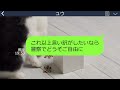 【line】入籍直前に会社の美人社員と結婚すると婚約破棄してきた最低男のお相手が兄の婚約者だった「相思相愛だからお兄さんには身を引いてもらうｗ」→勘違いした略奪男にある事実を突きつけた結果ｗ