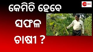 Nuapada ଖରିଆରର ସଫଳ ଚାଷୀ Arjuna Panda । Know His Success Story । Ama Gaon Khabar