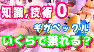 超初心者は巨大サンリオぬいぐるみ をいくらで獲れるのか？　クレーンゲーム UFOキャッチャー　サンリオ　ギガペックル