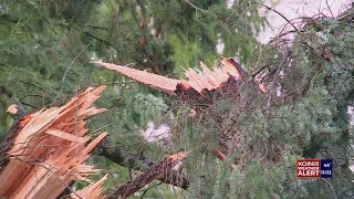 More downed trees, power outages expected in Portland