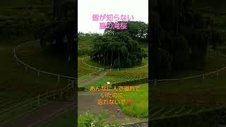 夏の滝桜。秋の紅葉🍁ver 冬verもあるよ