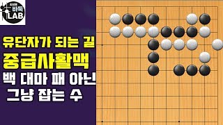 [바둑랩 강좌] 유단자가 되는 길-중급사활맥38-40