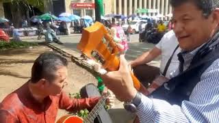 Los músicos del parque BERRIO