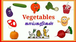 vegetables names in Tamil and English vegetables kaaikarigal காய்கறிகள் பெயர்கள் @babykidssushi