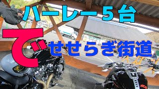 Harley-Davidson　５台でせせらぎ街道！