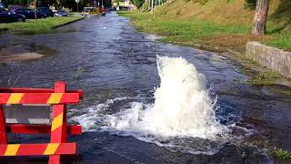 Видеофакт. В Бресте из-за промывки сетей водопровода затопило целую улицу