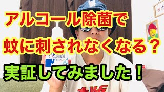 【検証】アルコール除菌で本当に蚊に刺されなくなる？効果を実証してみた！