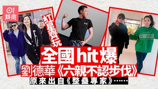 劉德華「六親不認步伐」瘋魔全國　佘詩曼周秀娜都跟玩