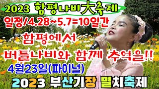 🕊버드리--함평에서 만나요 🦋버들나비와 함께 신나게 화끈하게 후회없이 한번 놀아봐요!! 함평공연 안내및 제27회 기장멸치축제 파이널영상!! (4/23.야간)🎶